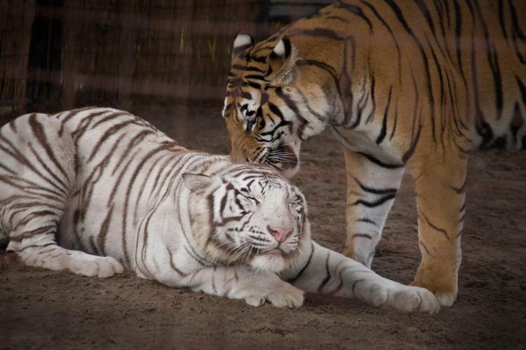 Baraboo, WI Homes for Sale & Real Estate