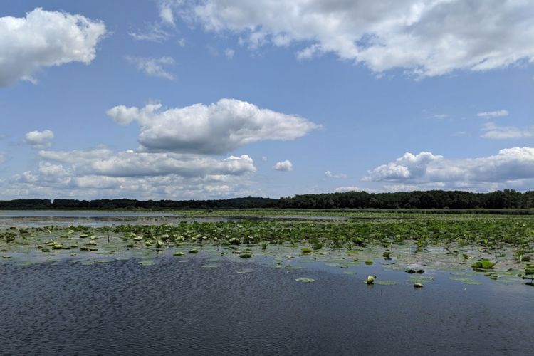 Waunakee, WI Homes for Sale & Real Estate